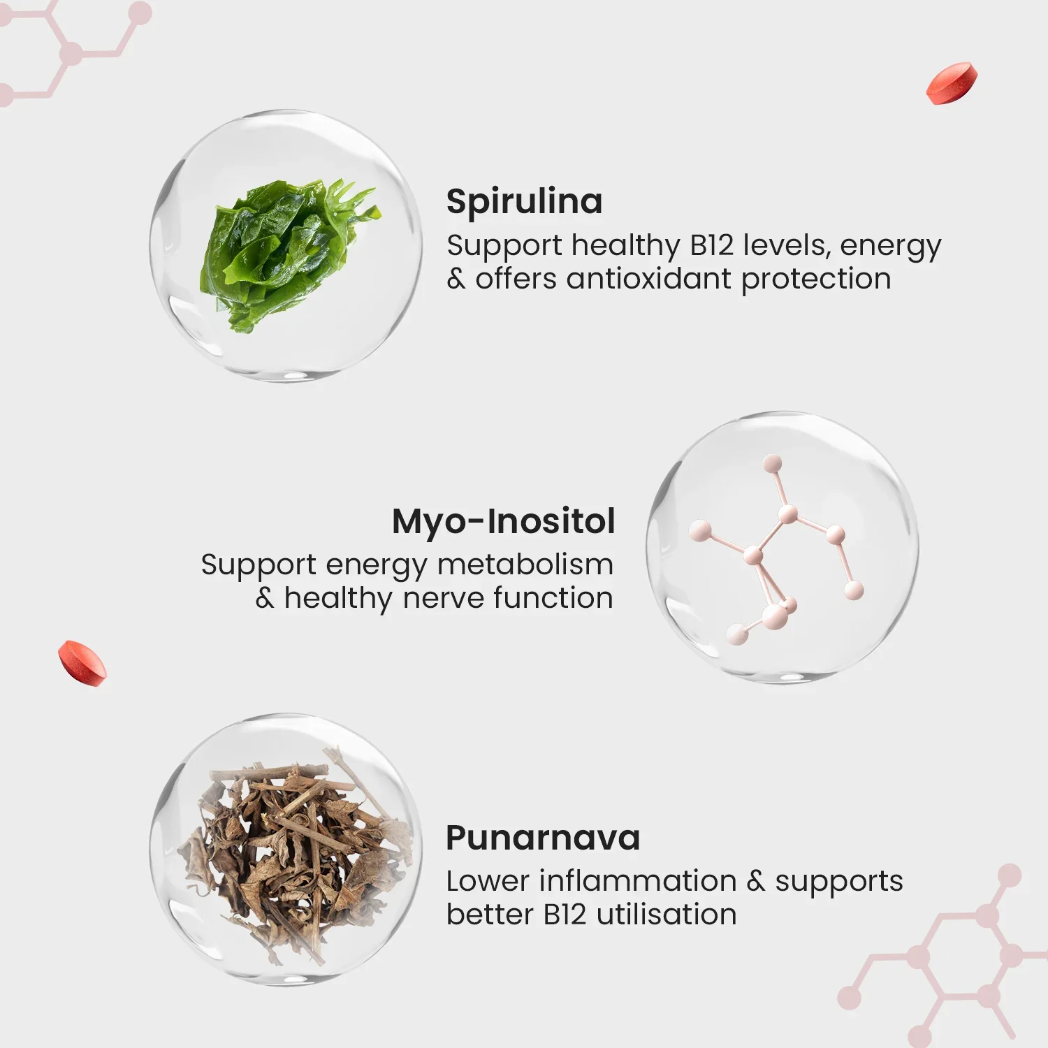 Plant-Based True Vitamin B12 Tablets For Energy & Brain - Image 5