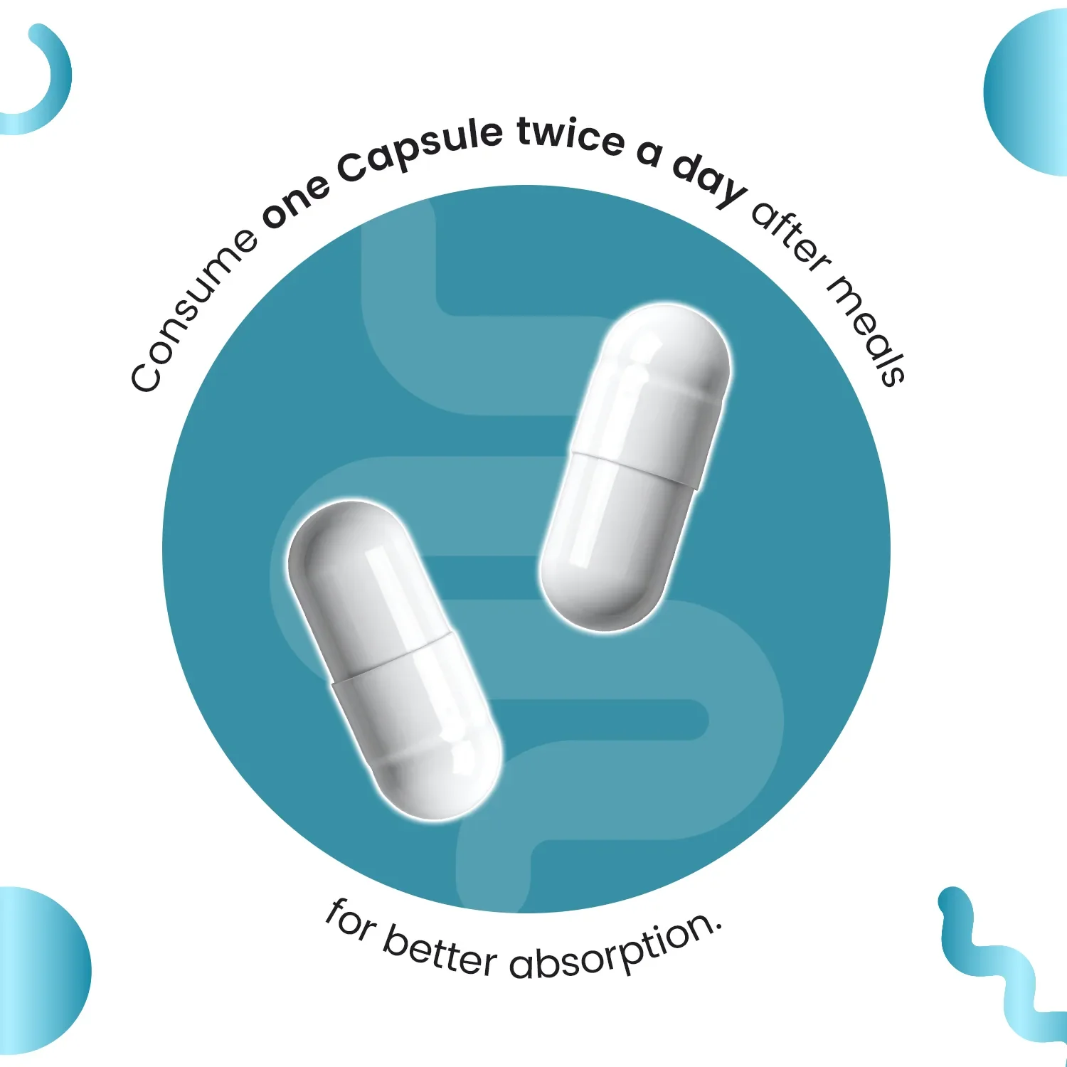 Daily Probiotic Capsules - Gut & Immune Health Boost - Image 5