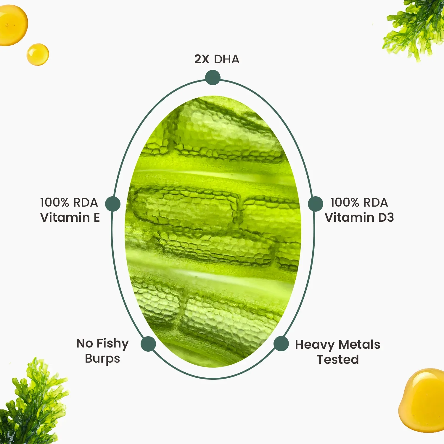Neuherbs Deep-Sea Veg Omega | Algae Oil Capsules - Image 4