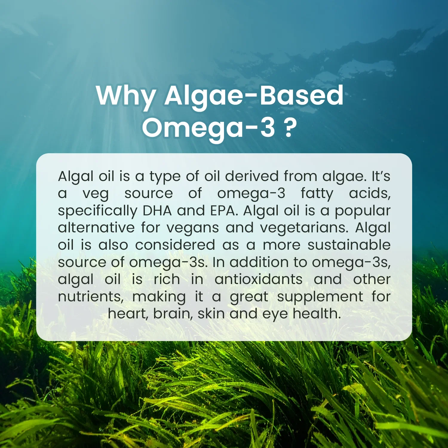 Neuherbs Deep-Sea Veg Omega | Algae Oil Capsules - Image 5