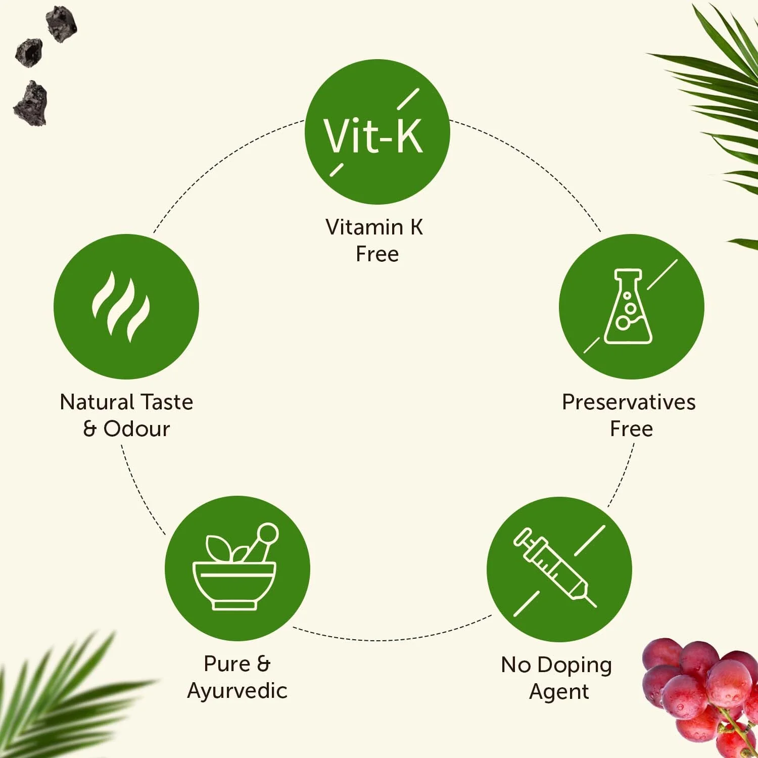 Men's Wellness Combo: True Vitamin & Pure Himalayan Shilajit - Image 3