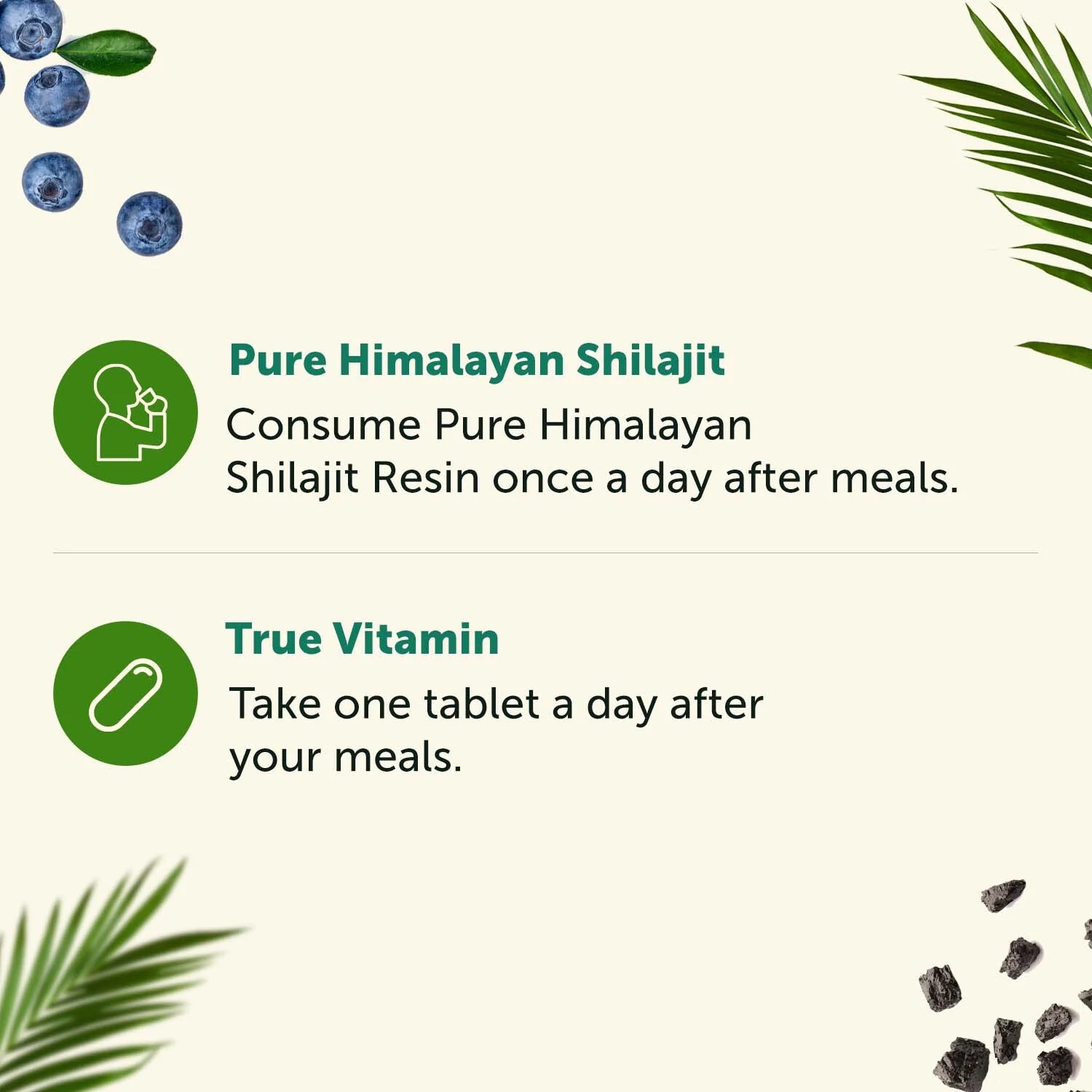 Men's Wellness Combo: True Vitamin & Pure Himalayan Shilajit - Image 4