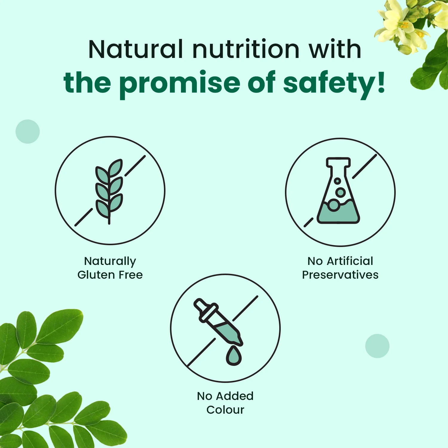 Organically Certified Moringa Tablet for High Energy, Detoxification and overall wellness for Men and Women - Image 5