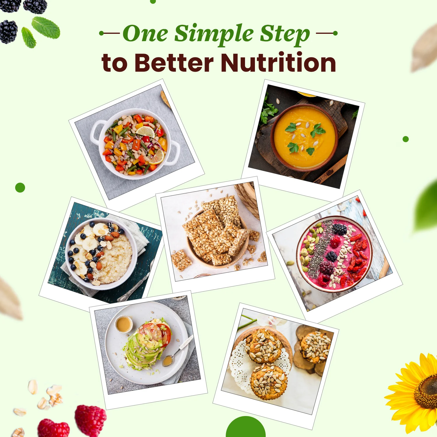 Organic Sunflower Seeds for Heart & Skin Health - Image 3