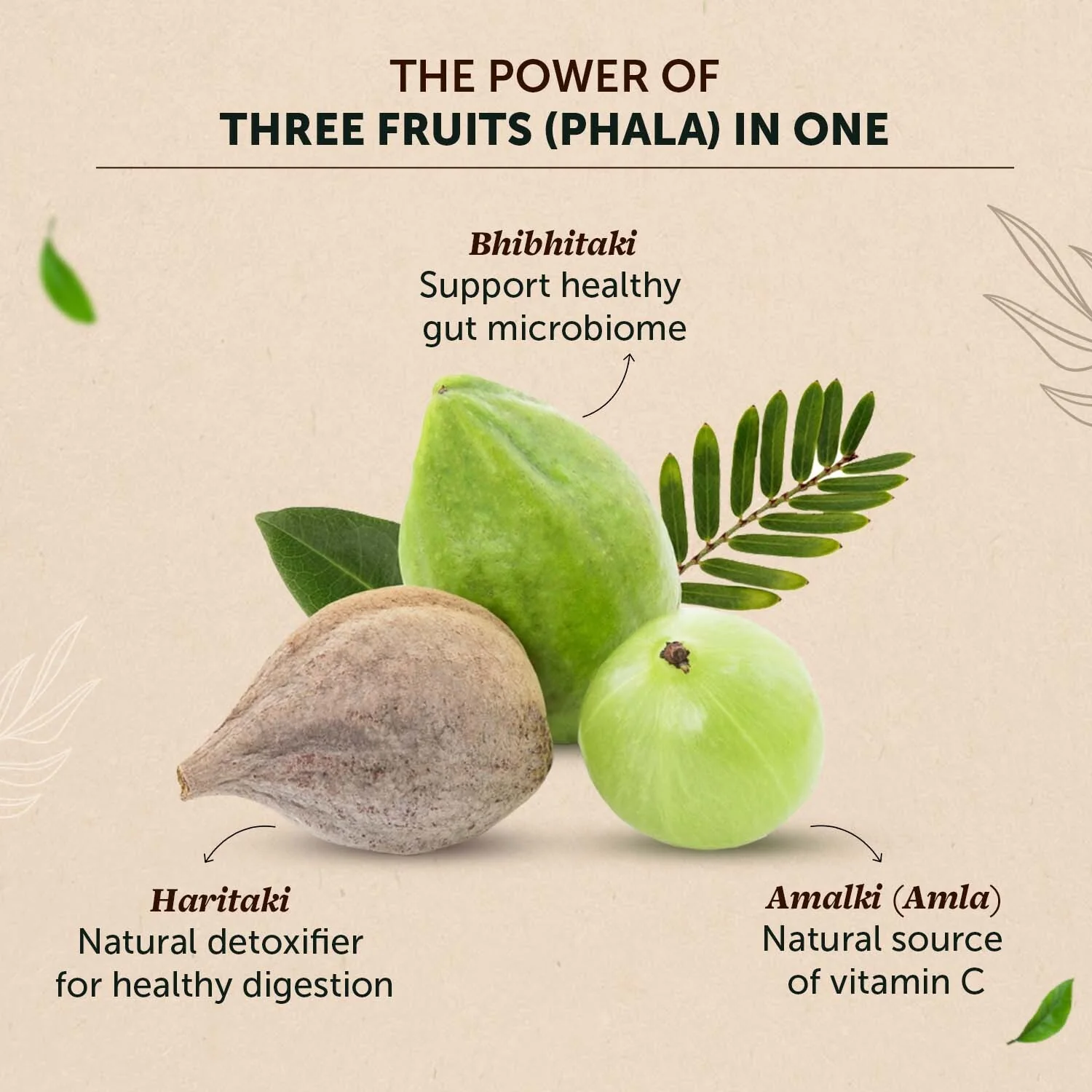 Triphala Powder: Boost Digestion & Immunity - Image 4