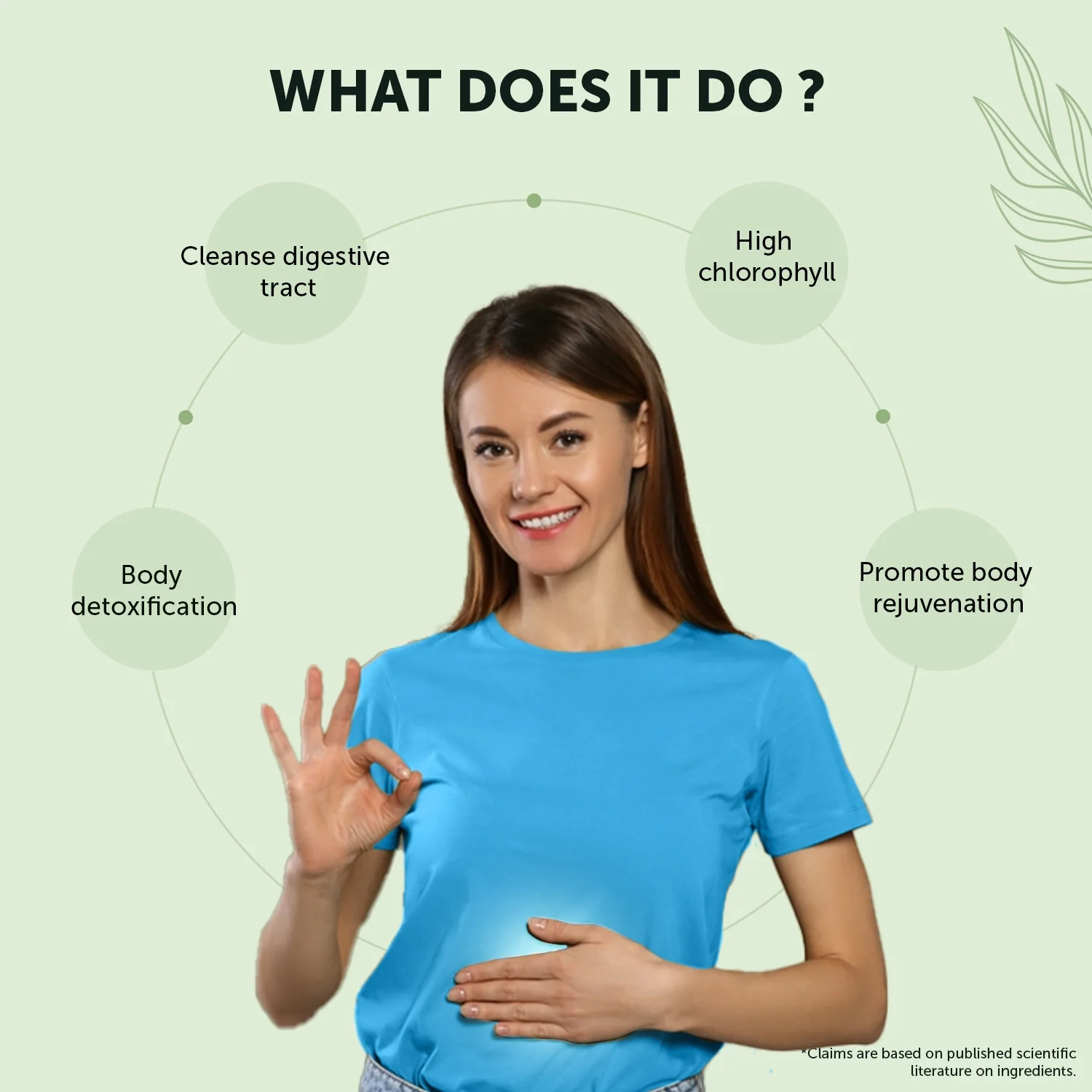 Organic Wheatgrass Powder for Improved Immunity & Digestion - Image 3