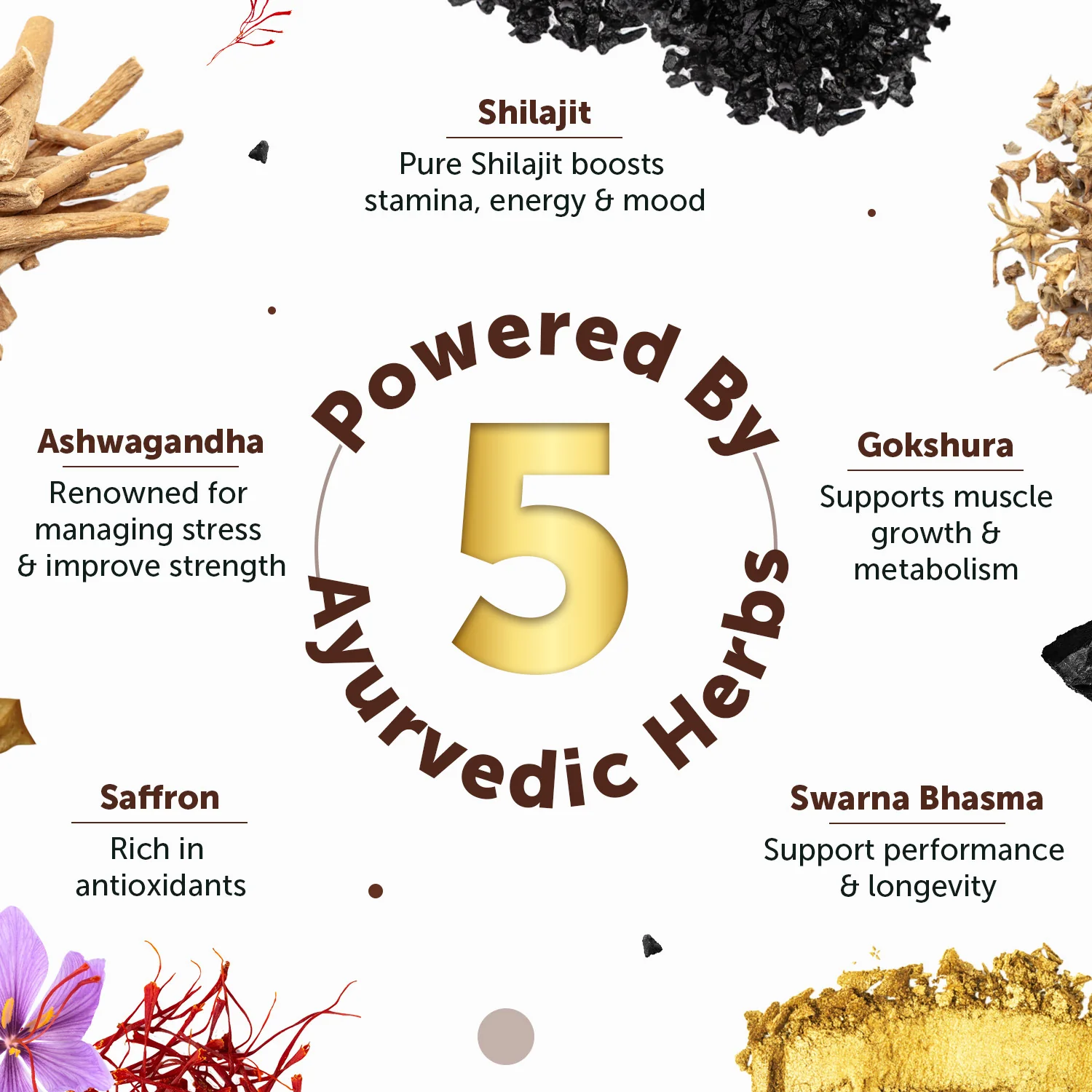 Shilajit Gold Ultra Resin 20g - Powerful Stamina Booster - Image 5