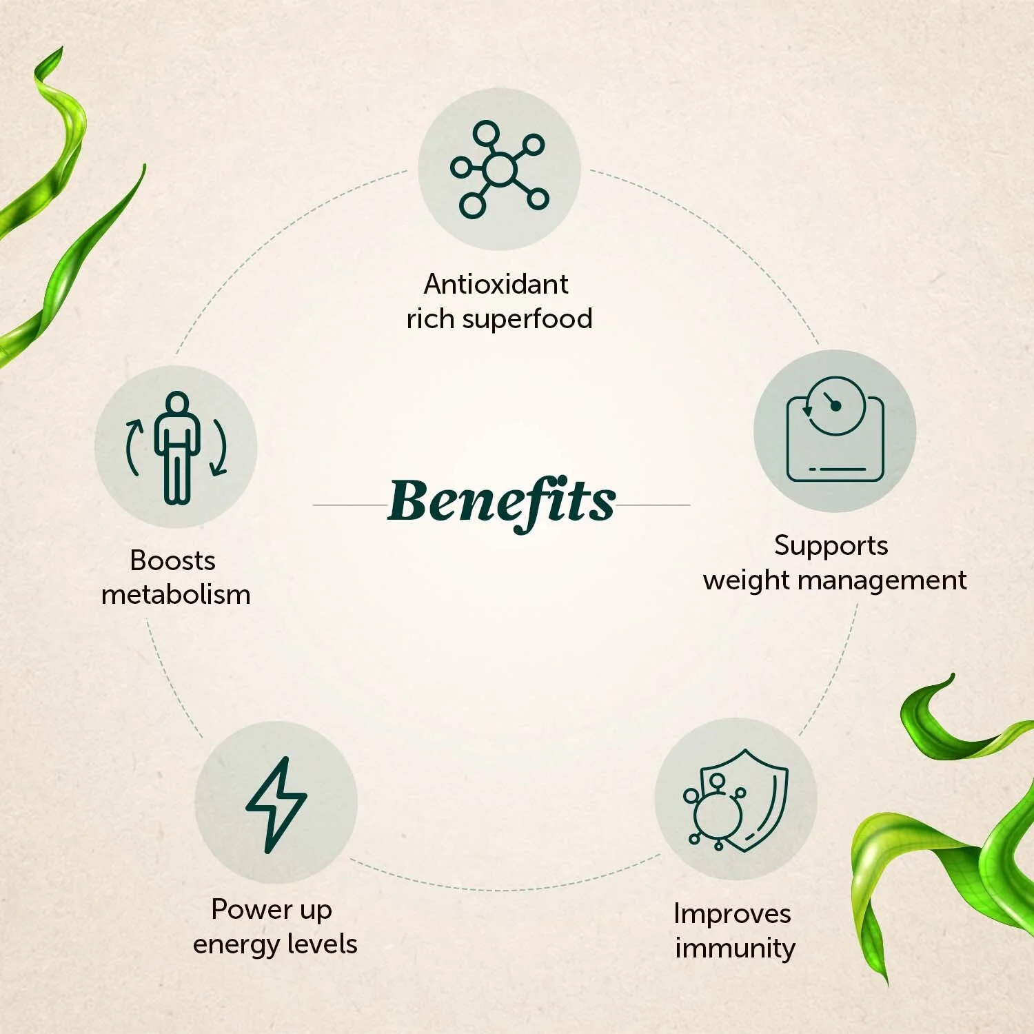 Organically Spirulina Tablets for High Energy, Immunity and Weight Management for Men and Women - Image 3