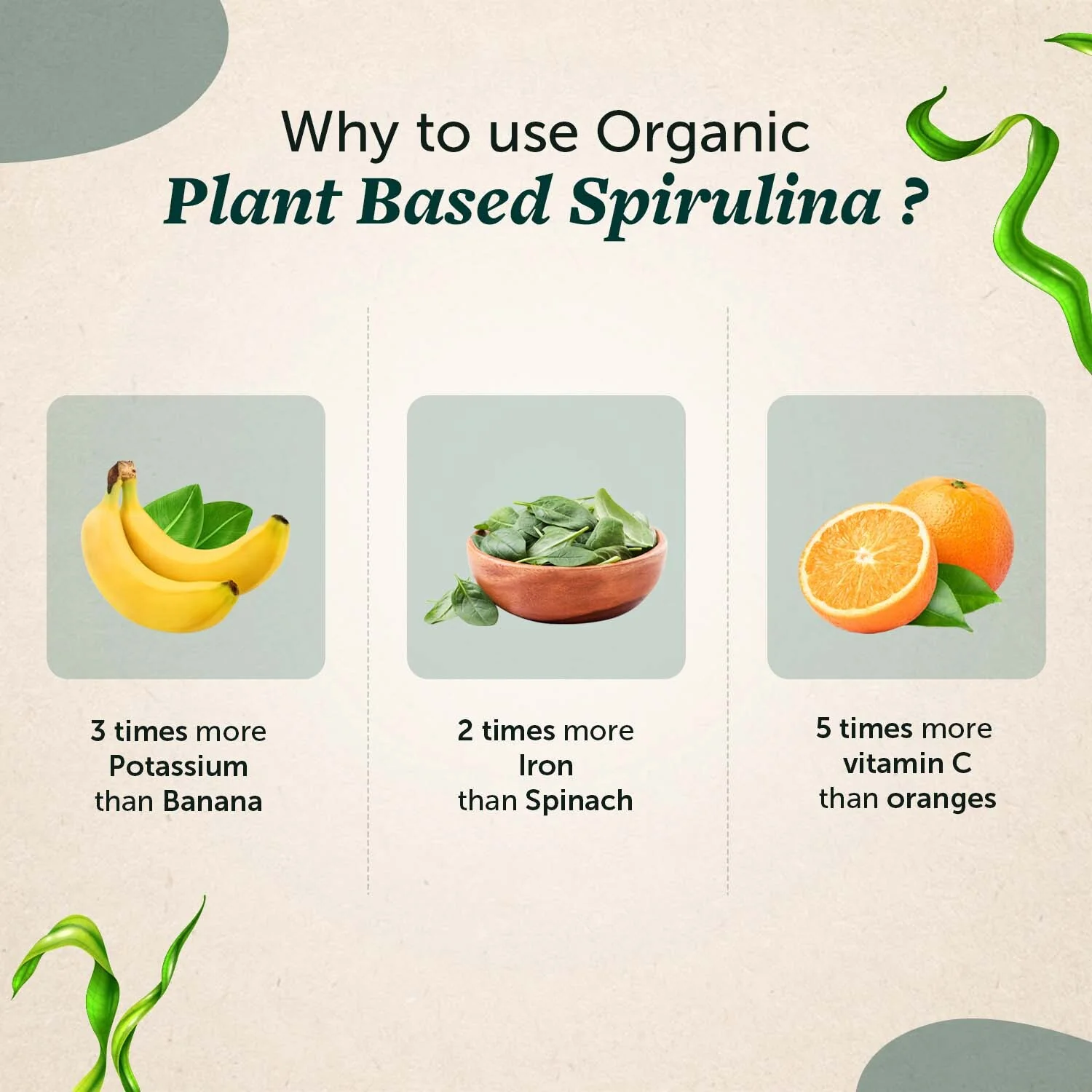 Organically Spirulina Tablets for High Energy, Immunity and Weight Management for Men and Women - Image 4