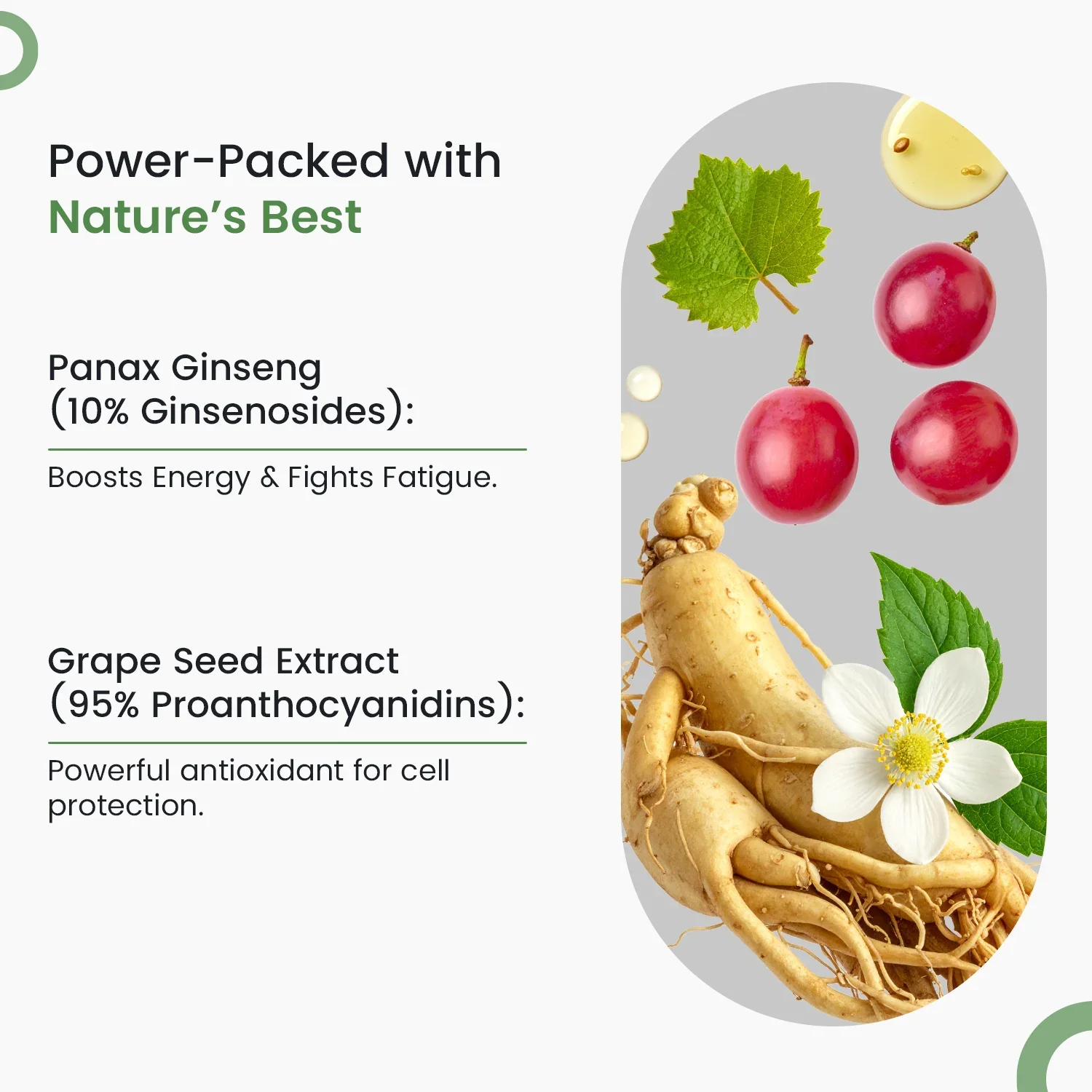 Neuherbs True Vitamin Daily Tablets - Image 3